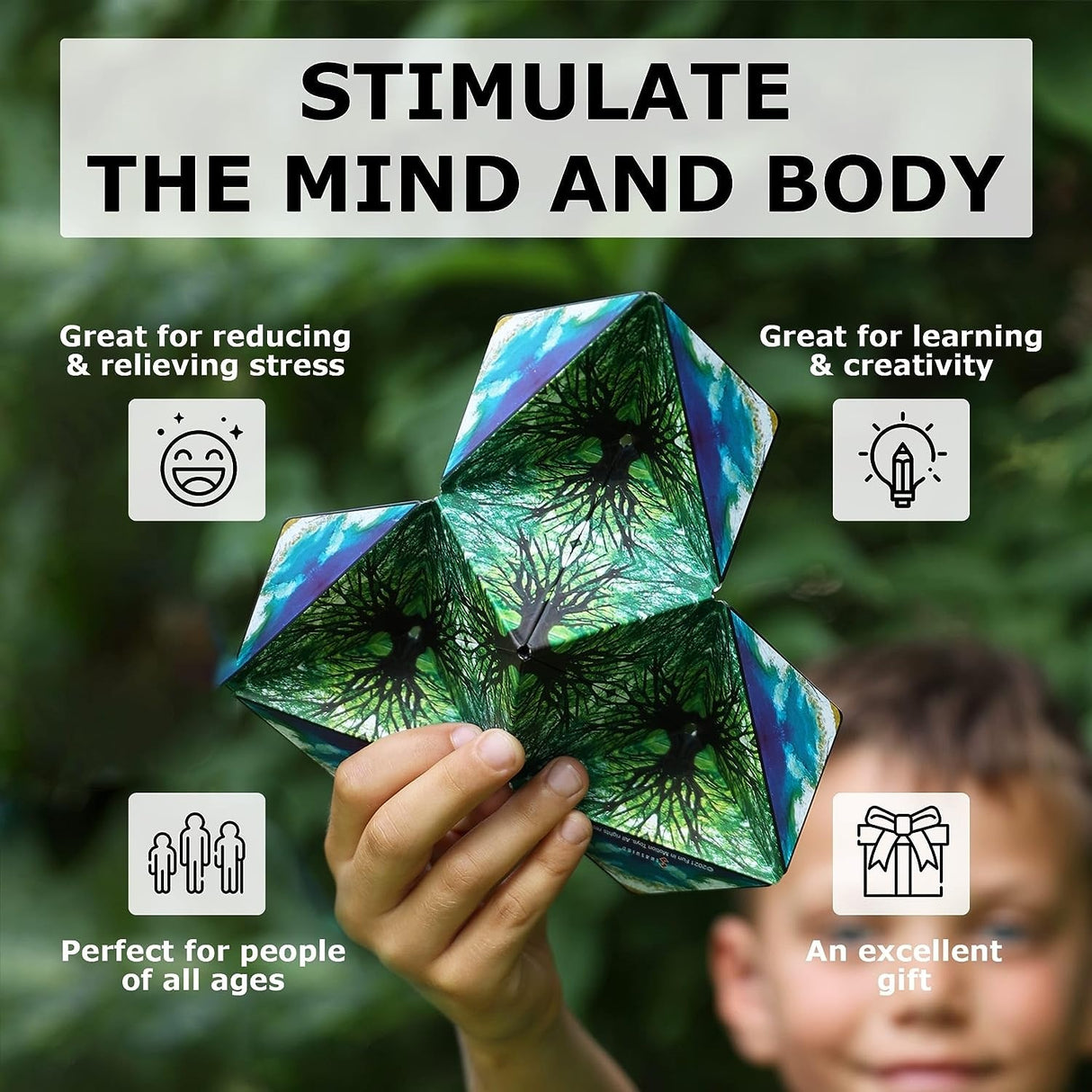 Shashibo Shape Shifting Box