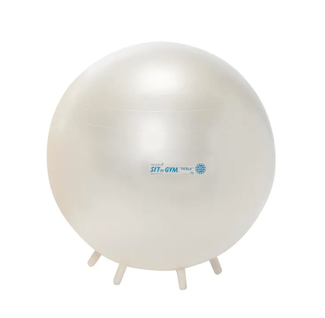 Gymnic Sit 'n' Gym Ball Chair
